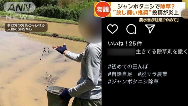 レス45の画像1