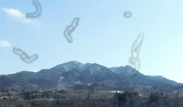レス9の画像1