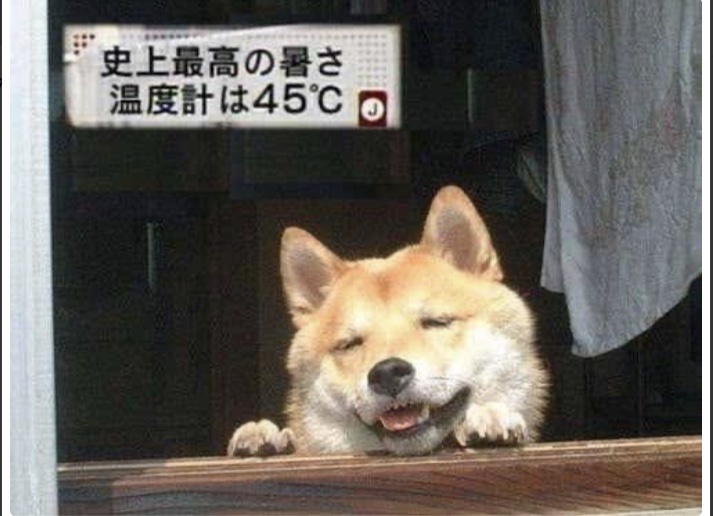 レス15の画像1