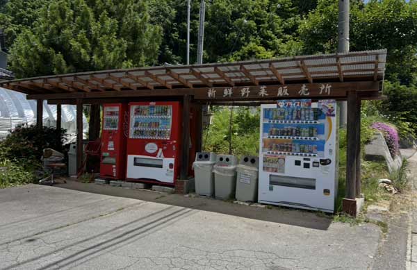 レス21の画像1