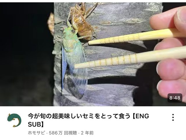 レス11の画像1