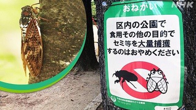 レス1の画像1