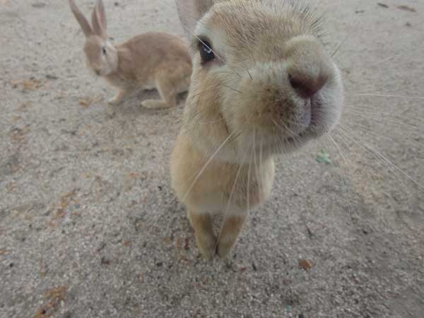 レス23の画像1