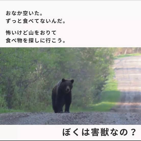 レス1の画像1