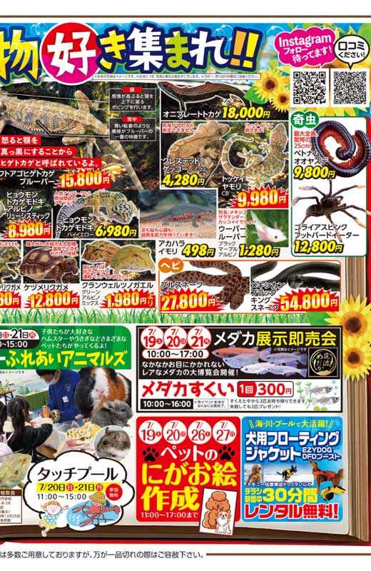 レス16の画像1