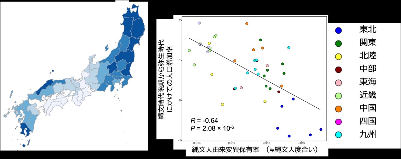 レス24の画像1