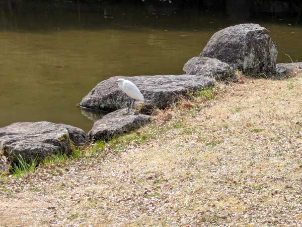 レス16の画像1