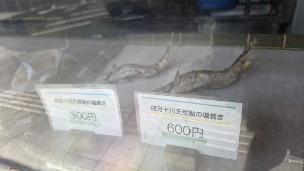 レス17の画像1
