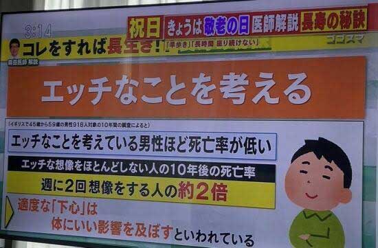 レス62の画像1