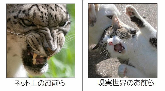 レス30の画像1