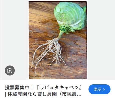 レス32の画像1
