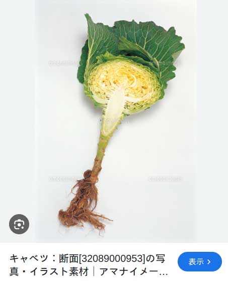 レス34の画像1