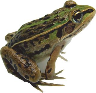 レス19の画像1