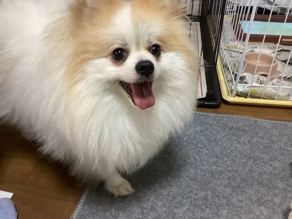 レス24の画像2