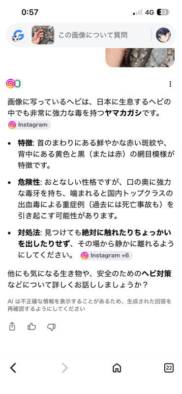 レス58の画像1