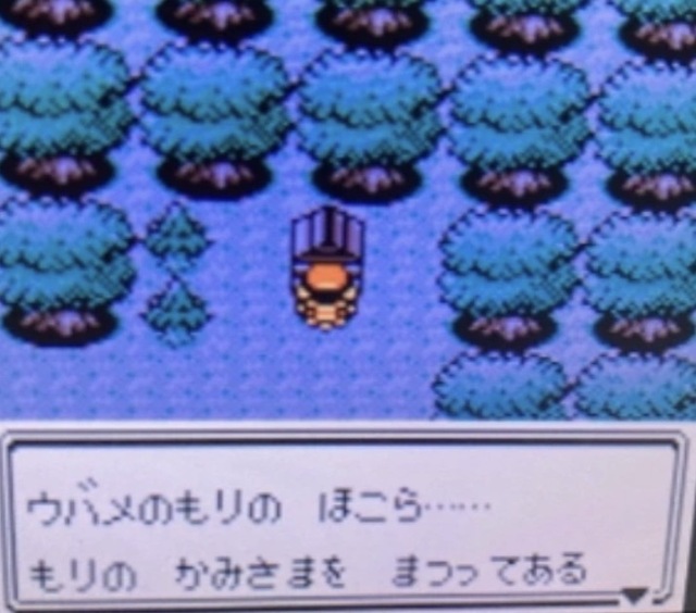 レス14の画像1