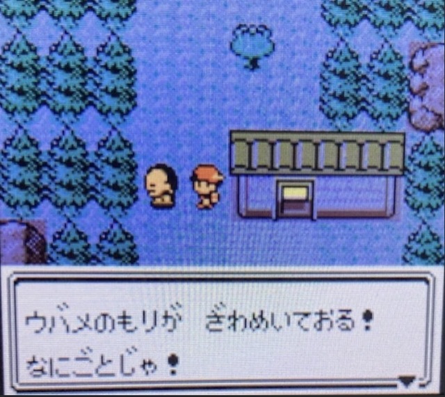 レス1の画像1