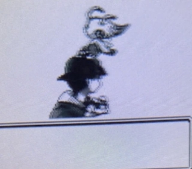 レス29の画像1