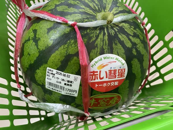レス146の画像1