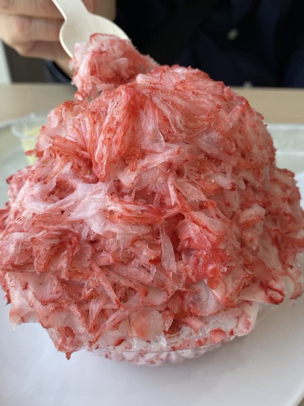 レス166の画像1