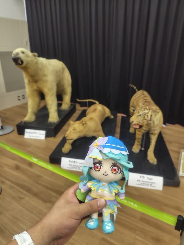 レス46の画像1